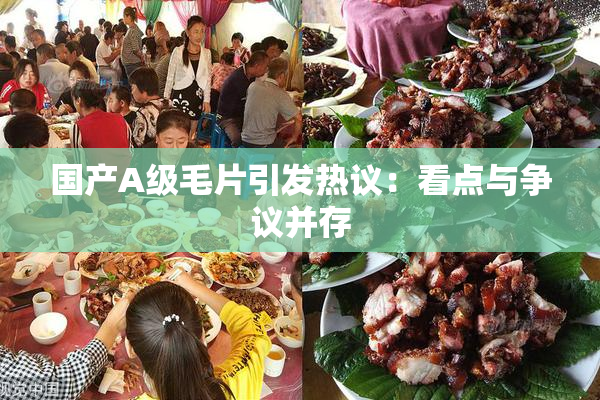 国产A级毛片引发热议：看点与争议并存