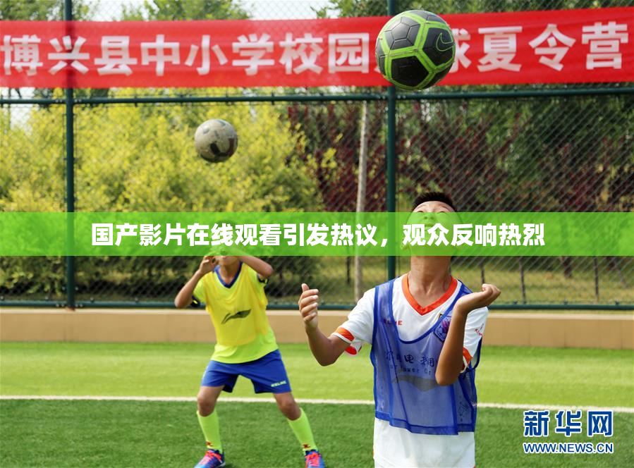 国产影片在线观看引发热议，观众反响热烈