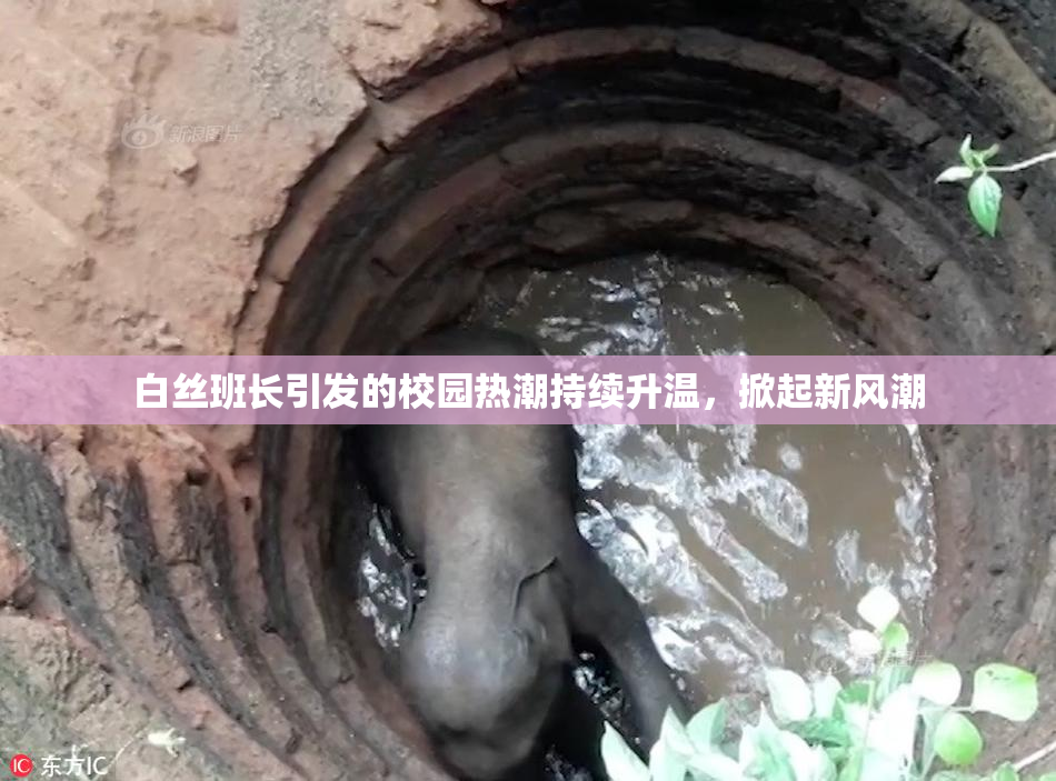 白丝班长引发的校园热潮持续升温，掀起新风潮