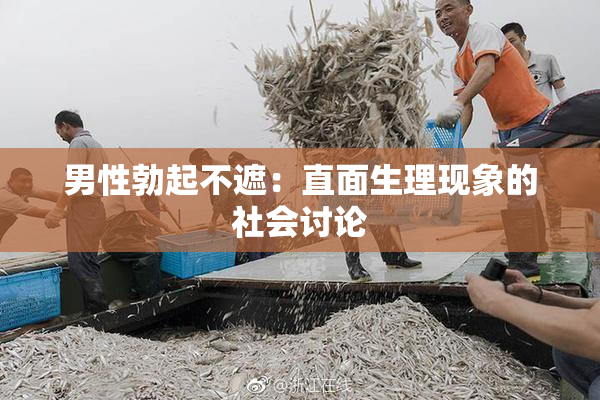 男性勃起不遮：直面生理现象的社会讨论