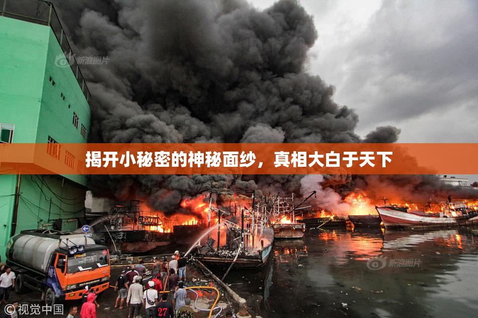 揭开小秘密的神秘面纱，真相大白于天下