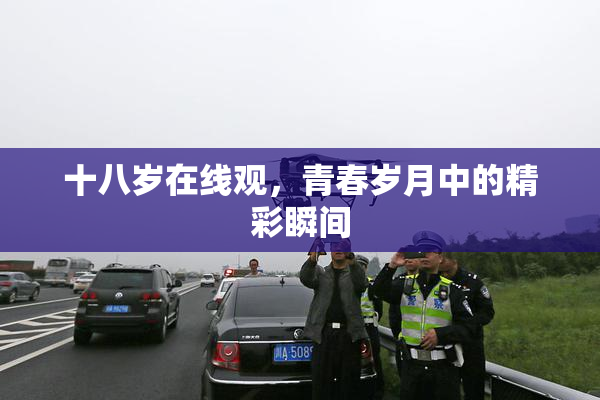 十八岁在线观，青春岁月中的精彩瞬间