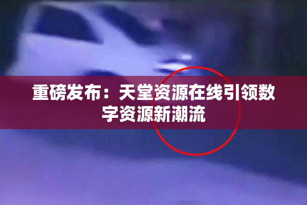 重磅发布：天堂资源在线引领数字资源新潮流
