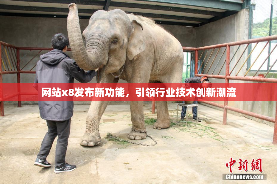 网站x8发布新功能，引领行业技术创新潮流