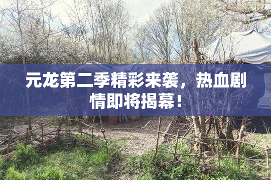 元龙第二季精彩来袭，热血剧情即将揭幕！