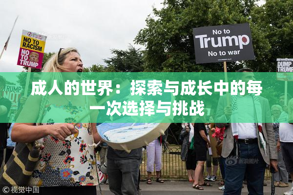 成人的世界：探索与成长中的每一次选择与挑战