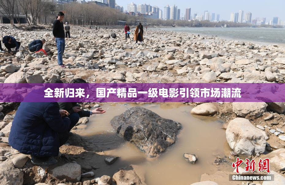 全新归来，国产精品一级电影引领市场潮流