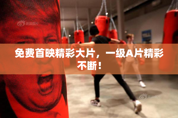 免费首映精彩大片，一级A片精彩不断！