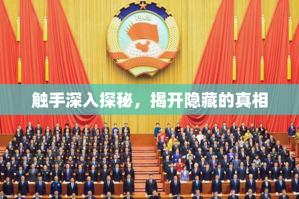 触手深入探秘，揭开隐藏的真相