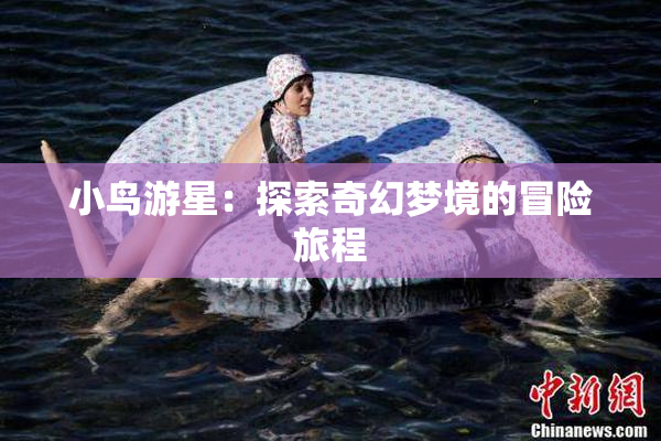 小鸟游星：探索奇幻梦境的冒险旅程