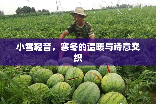 小雪轻音，寒冬的温暖与诗意交织