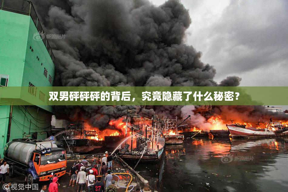 双男砰砰砰的背后，究竟隐藏了什么秘密？