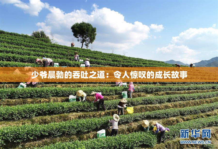 少爷晨勃的吞吐之道：令人惊叹的成长故事