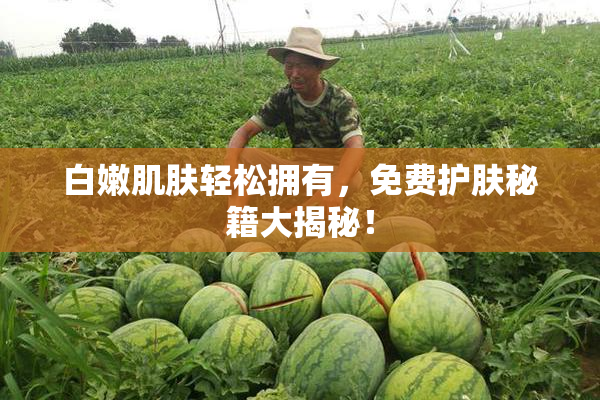 白嫩肌肤轻松拥有，免费护肤秘籍大揭秘！