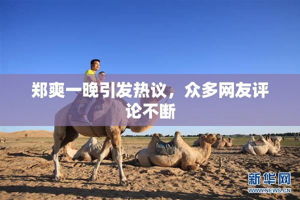 郑爽一晚引发热议，众多网友评论不断