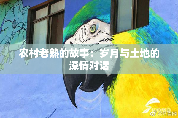 农村老熟的故事：岁月与土地的深情对话