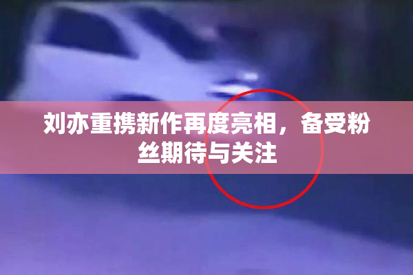 刘亦重携新作再度亮相，备受粉丝期待与关注