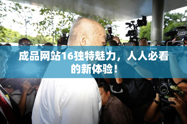 成品网站16独特魅力，人人必看的新体验！
