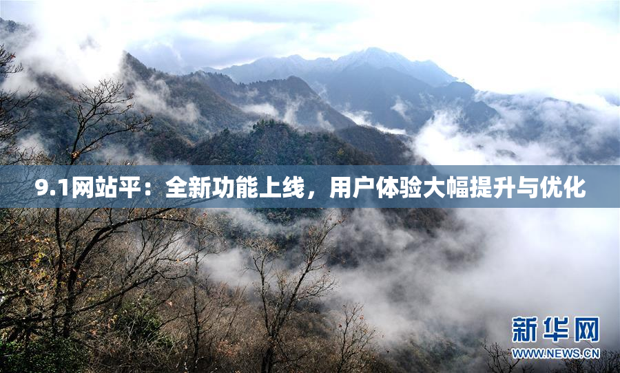 9.1网站平：全新功能上线，用户体验大幅提升与优化