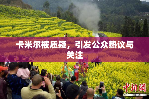 卡米尔被质疑，引发公众热议与关注