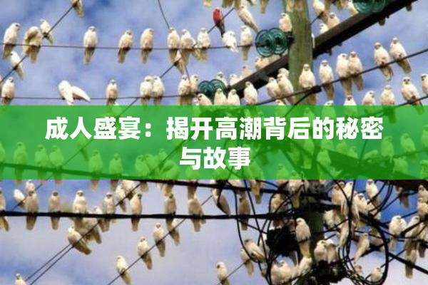 成人盛宴：揭开高潮背后的秘密与故事