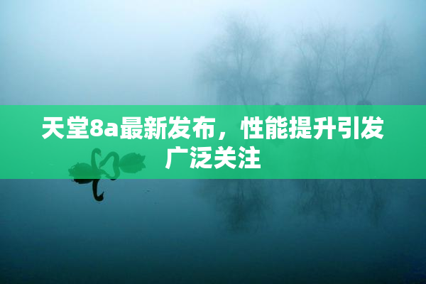 天堂8a最新发布，性能提升引发广泛关注