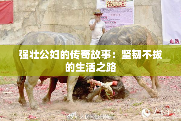 强壮公妇的传奇故事：坚韧不拔的生活之路