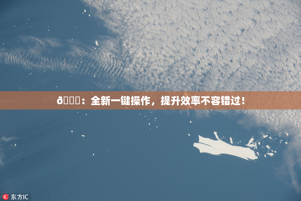 🔞：全新一键操作，提升效率不容错过！