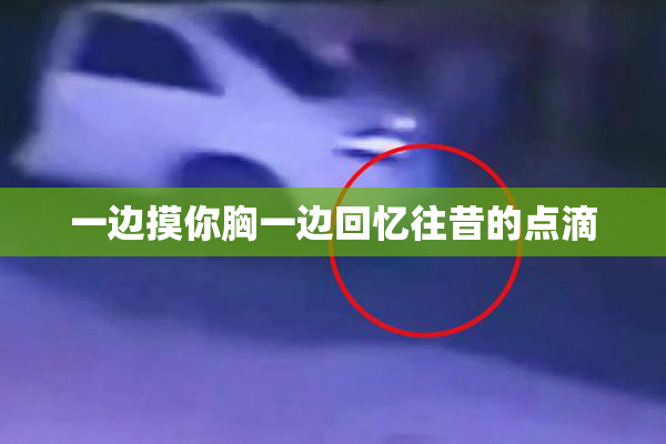 一边摸你胸一边回忆往昔的点滴
