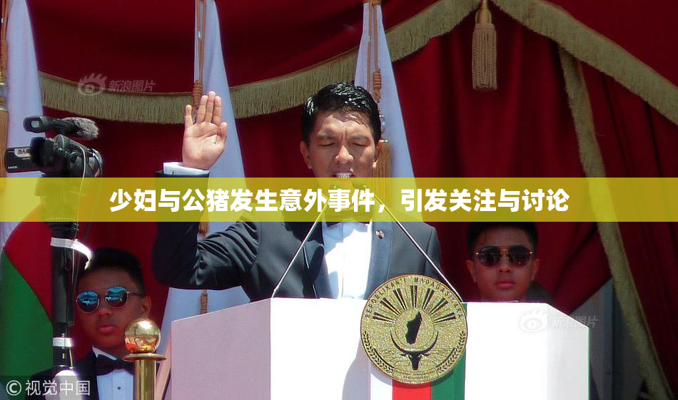 少妇与公猪发生意外事件，引发关注与讨论