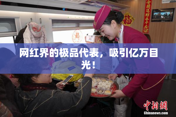 网红界的极品代表，吸引亿万目光！
