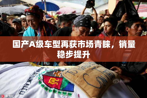 国产A级车型再获市场青睐，销量稳步提升