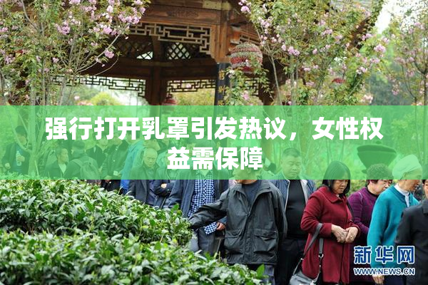强行打开乳罩引发热议，女性权益需保障
