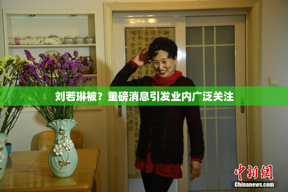 刘若琳被？重磅消息引发业内广泛关注