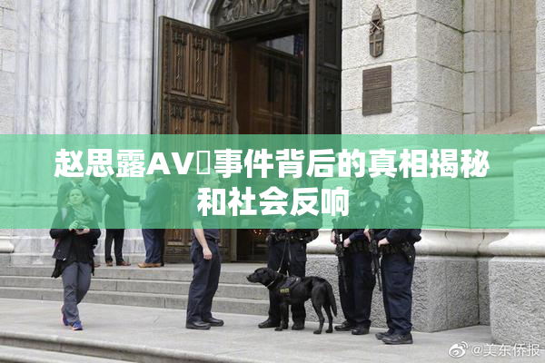 赵思露AV婬事件背后的真相揭秘和社会反响