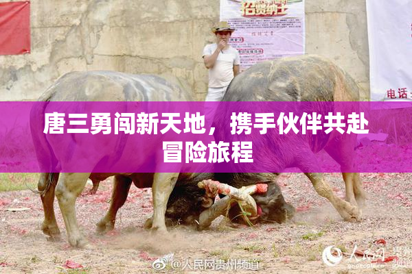 唐三勇闯新天地，携手伙伴共赴冒险旅程