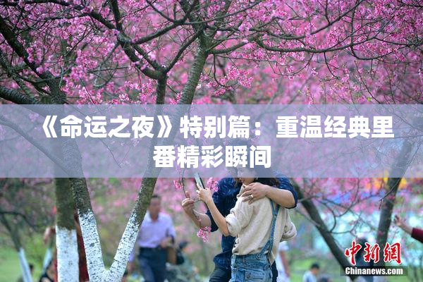 《命运之夜》特别篇：重温经典里番精彩瞬间