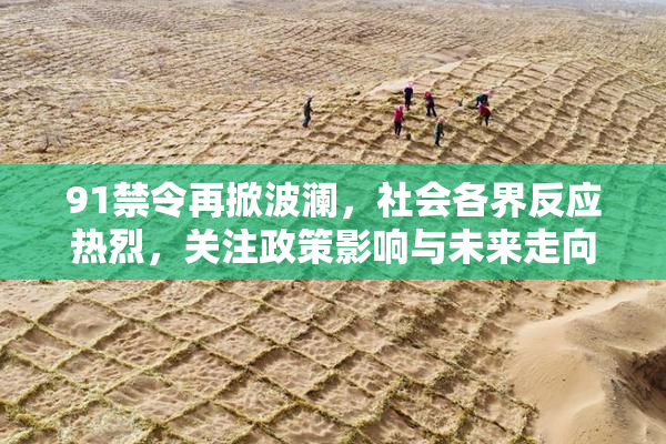 91禁令再掀波澜，社会各界反应热烈，关注政策影响与未来走向