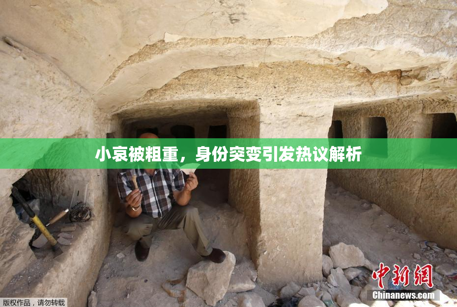 小哀被粗重，身份突变引发热议解析