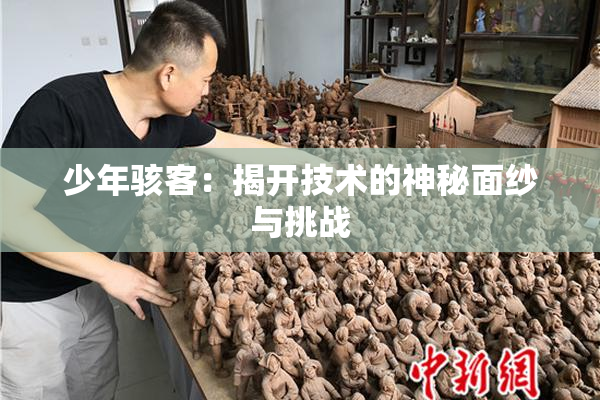 少年骇客：揭开技术的神秘面纱与挑战
