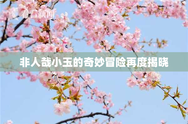 非人哉小玉的奇妙冒险再度揭晓