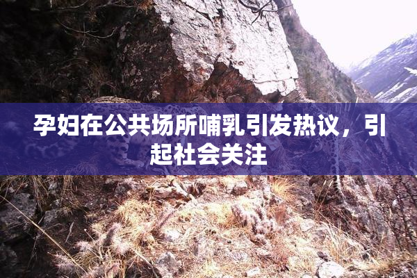 孕妇在公共场所哺乳引发热议，引起社会关注