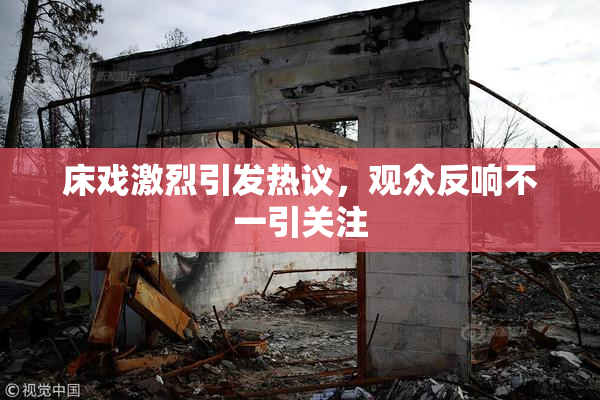 床戏激烈引发热议，观众反响不一引关注