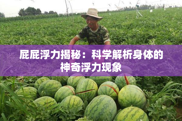 屁屁浮力揭秘：科学解析身体的神奇浮力现象