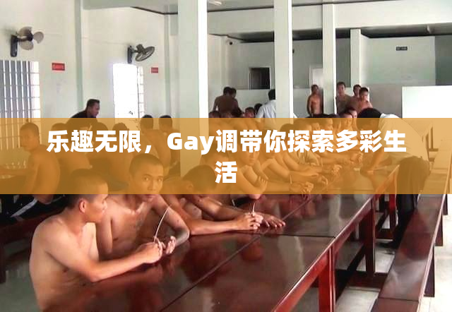 乐趣无限，Gay调带你探索多彩生活