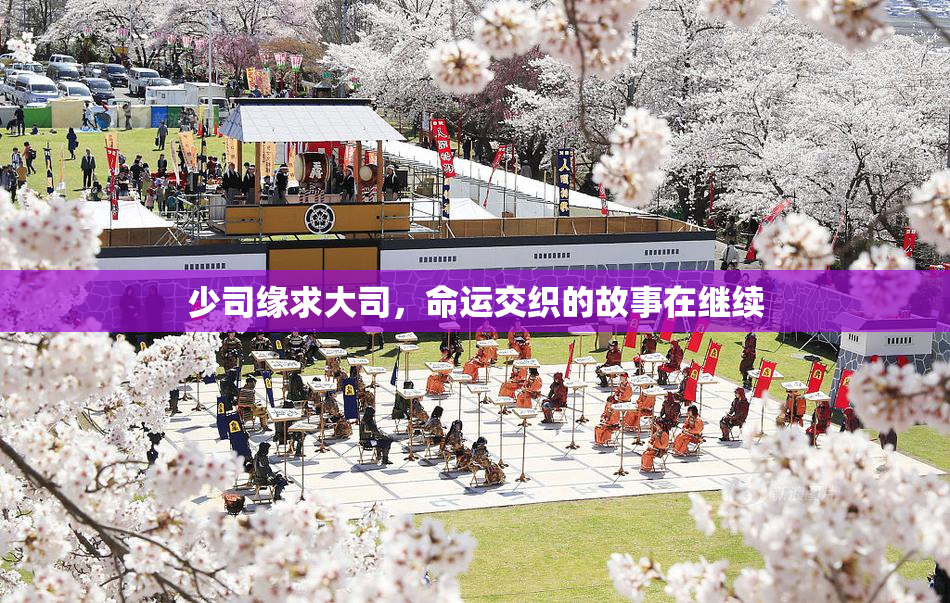少司缘求大司，命运交织的故事在继续