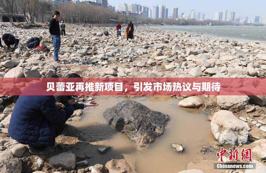 贝蕾亚再推新项目，引发市场热议与期待