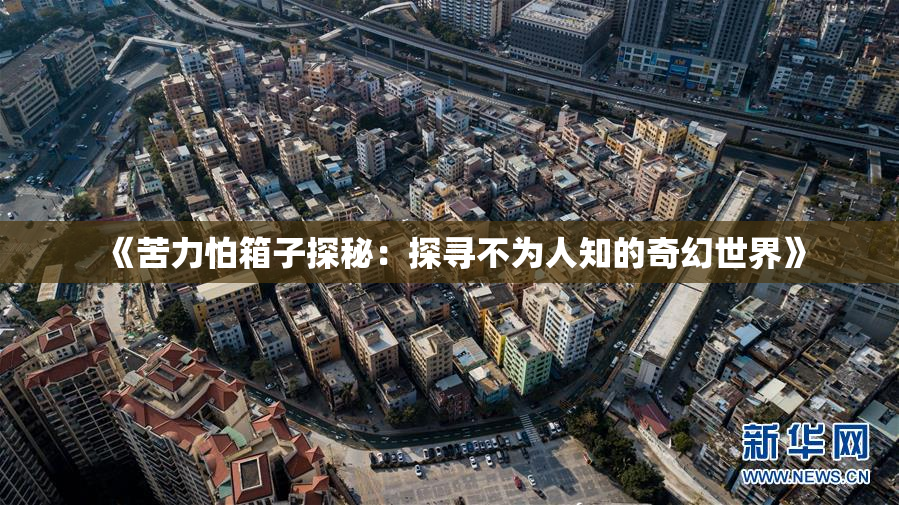 《苦力怕箱子探秘：探寻不为人知的奇幻世界》