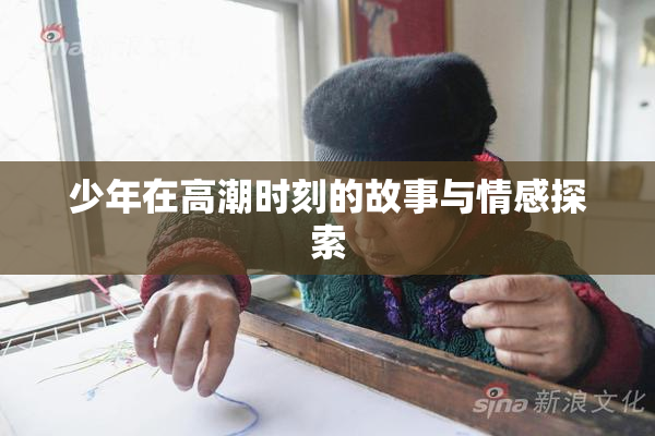少年在高潮时刻的故事与情感探索