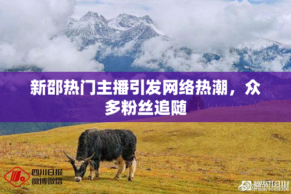 新邵热门主播引发网络热潮，众多粉丝追随